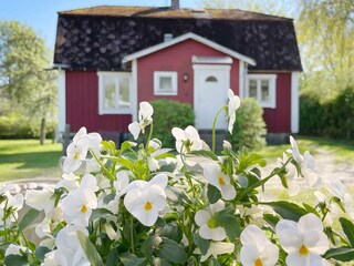 Vakantiehuis Hörvik Buitenaudio-opname 2