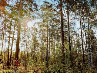 Casa per le vacanze Verum Registrazione all'aperto 4