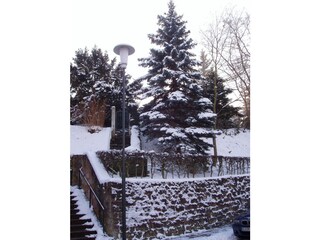 Casa per le vacanze Bad Dürkheim Registrazione all'aperto 15