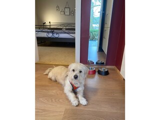 Casa per le vacanze Bad Dürkheim Caratteristiche 31