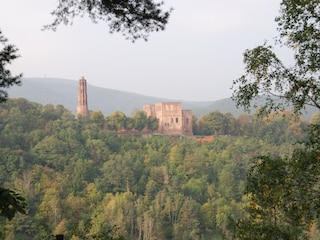 Vakantiehuis Bad Dürkheim Omgeving 33