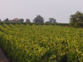 Casa per le vacanze Bad Dürkheim Ambiente 34