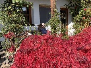 Garten/Terrasse vor dem Schlafzimmer