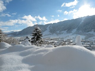 Appartamento per vacanze Wildschönau-Niederau Registrazione all'aperto 3