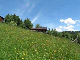 Appartamento per vacanze Wildschönau-Niederau Registrazione all'aperto 21