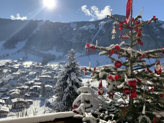 Weihnachtszeit auf dem Balkon