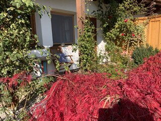 Chalet Wildschönau-Niederau Registrazione all'aperto 14