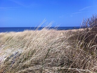 Ostseestrand