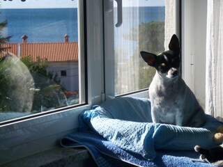 Appartamento Porec Registrazione all'aperto 3