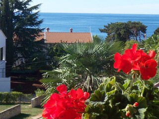 Appartamento Porec Registrazione all'aperto 1