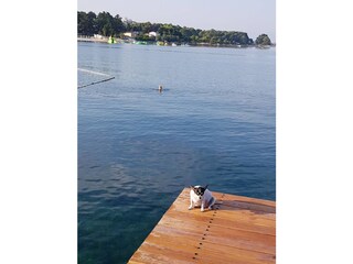 Appartamento Porec Ambiente 33