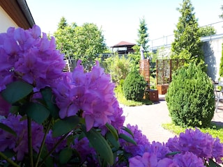 Wintergarten-Ausblick