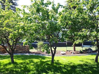 Genießen Sie unseren schönen Garten.