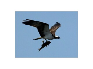 Casa per le vacanze Plau am See Ambiente 33