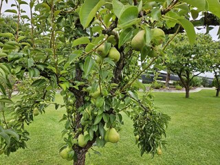 Casa per le vacanze Plau am See Registrazione all'aperto 8