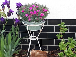 Ein Blumen-Gruß für Sie...