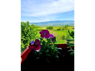 Holiday house Siroki Brijeg Outdoor Recording 5