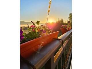 Holiday house Siroki Brijeg Outdoor Recording 6