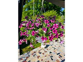 Holiday house Siroki Brijeg Outdoor Recording 14