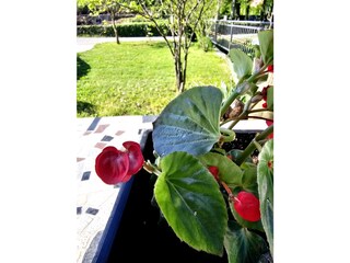 Holiday house Siroki Brijeg Outdoor Recording 15