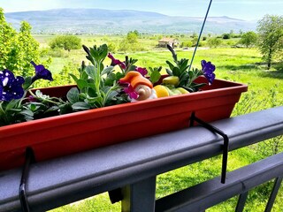 Holiday house Siroki Brijeg Outdoor Recording 4