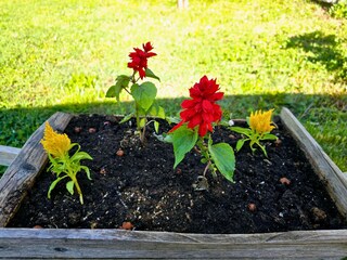 Holiday house Siroki Brijeg Outdoor Recording 16