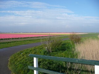 Vakantiehuis Julianadorp Omgeving 22