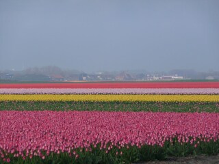 Vakantiehuis Julianadorp Omgeving 23