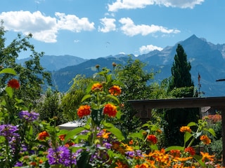 Sommergarten