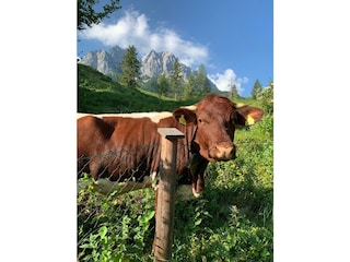 Holiday apartment Garmisch-Partenkirchen Environment 36