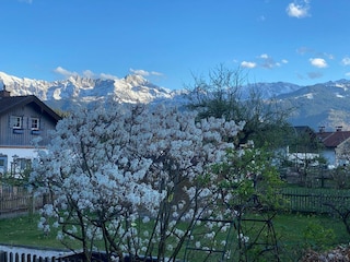Frühling mit verschneiten Bergen.