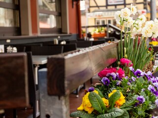 Apartamento Waldbreitbach Grabación al aire libre 20