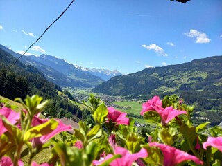 Ausblick von der Terasse