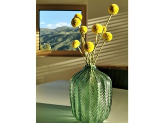 Appartamento per vacanze Naturns Caratteristiche 12