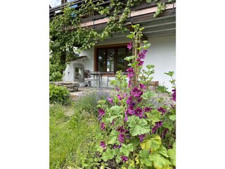 Blick auf die Terrasse