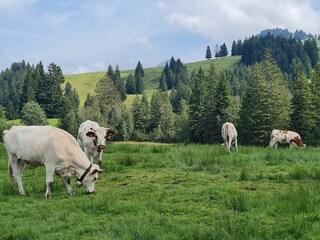 Apartment Oberstaufen Outdoor Recording 7