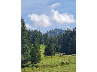 Apartment Oberstaufen Outdoor Recording 8