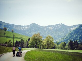 Wanderung zu den Buchenegger Wasserfällen