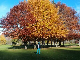 Herbst auf dem Golfplatz