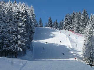 Talabfahrt vom Imberg