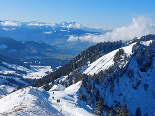 Blick vom Hochgrat zum Sentis