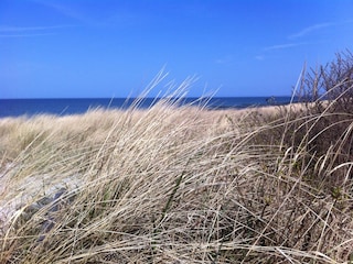 Ostseestrand