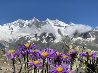 Holiday apartment Saas-Fee Environment 19