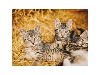 lwk_urlaub_2015_0003