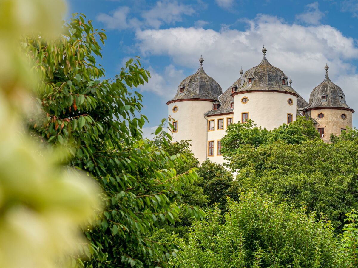 Blick auf das Schloss Gemünden