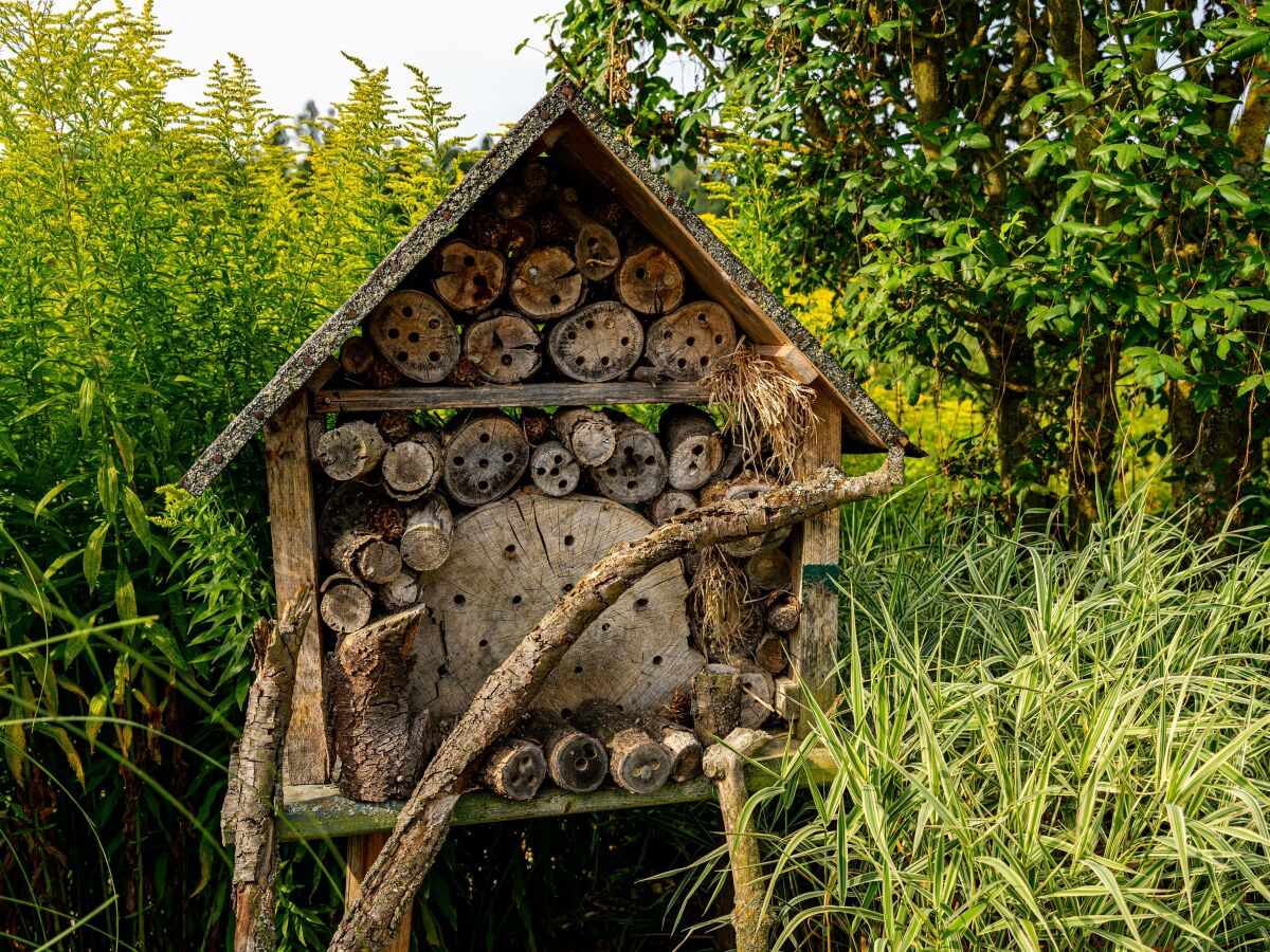 Insektenhotel