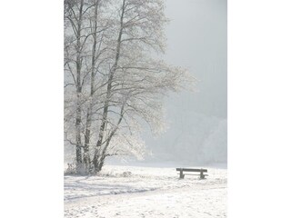 Winter im Wiedtal