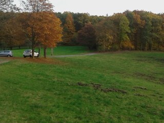 Einladung zum Herbstspaziergang