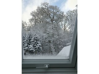 Blick aus dem Fenster im Bad in den Winterwald