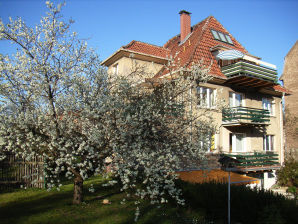 Appartement de vacances d'Alice 1 - Arnstadt - image1